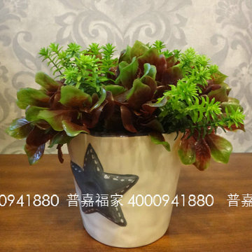 包邮zakka花艺绿植蕨类仿真花摆件五角星陶瓷花瓶.小仲夏
