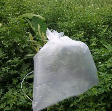 超大号塑料袋 加厚胶袋 平口袋 衣物棉被袋 100*120厘米防潮