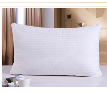 桐乡桑蚕丝枕芯 单人枕头 舒适睡眠低软枕芯护颈枕保健枕