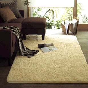 【清仓3】丝毛地毯 客厅地毯 茶几卧室地毯1.0米*1.6米