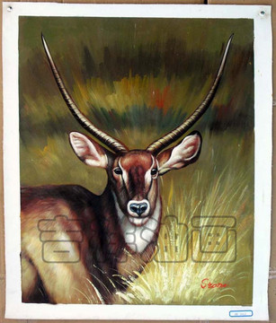 泉州吉祥油画 动物画 鹿A4-2002 100%纯手工 实物出售