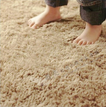特价包邮 柔软丝毛天鹅绒地毯地垫 卧室客厅门垫可定做防滑可机洗