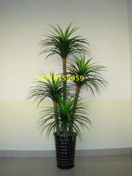 1.8米四杆龙血树盆景 绿植装饰 发财树 仿真绿植 办公室装饰植物