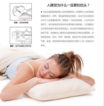 床上用品搭配蚕丝被专用超软纯棉贡缎枕芯枕头*特价 正品包邮