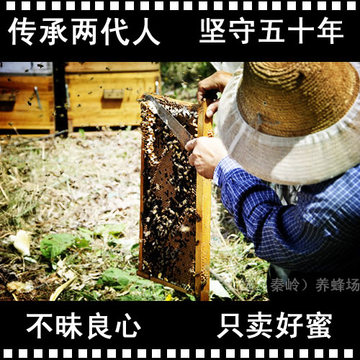 新蜜农家自产纯天然土蜂蜜特级秦岭深山野生土蜂蜜pk进口 2瓶包邮