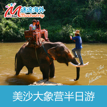 泰国清迈美沙大象营半日Maesa Elephant Camp中文
