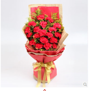 教师节安徽合肥上海杭州鲜花18朵康乃馨花束母亲长辈探病花束包邮