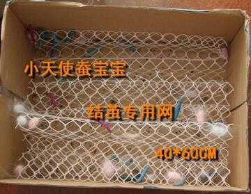 蚕宝宝结茧网 塑料折簇40*60厘米左右一片 全新 结的茧子更漂亮
