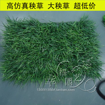 人造草坪仿真草地毯加密塑料草皮40*60大秧草 长草草坪塑料草坪