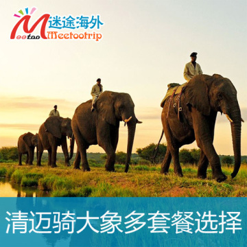 泰国 清迈骑大象+丛林飞跃+坐竹筏+激流泛舟一日游 清迈自由行