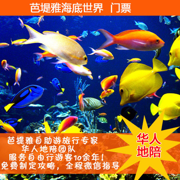 泰国 芭提雅海底世界水族馆门票  促销芭堤雅一日游自由行旅游