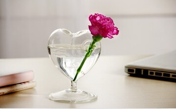 CORUSO 克鲁索 透明玻璃心形花插花瓶 透明水晶花瓶 家居装饰摆件