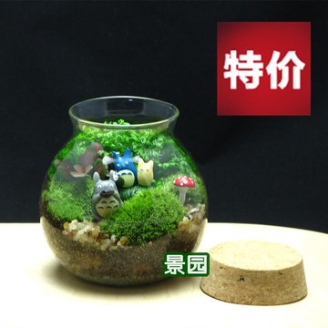苔藓生态瓶 苔藓微景观 创意绿植 办公室植物 礼品 龙猫系类郊游
