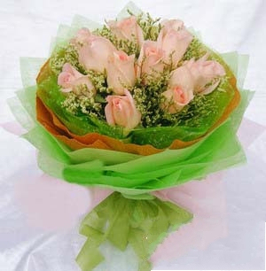 扬州520花店联盟 配送花大学邗江广陵 扬州鲜花速递 11朵粉玫瑰