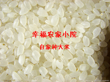 东北大米新米没有防腐剂绿色大米有机大米自己种今年新米开卖了！