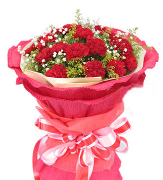 红色康乃馨兰州鲜花店同城速递父亲母亲生日送花