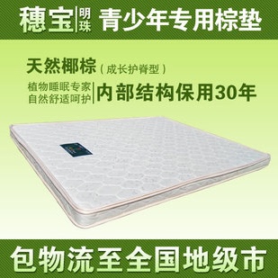 棕垫 床垫 1.2m/1.5m/1.8m天然椰棕床垫 5cm床垫 可定做 包物流