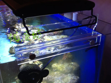 鱼缸灯架定做 亚克力个性化灯架 珊瑚植物灯架定做