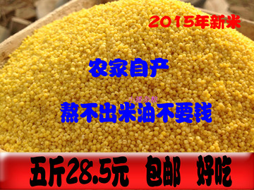 2015年新米食用黄小米农家有机杂粮小米粥粮食小黄米月子米好吃