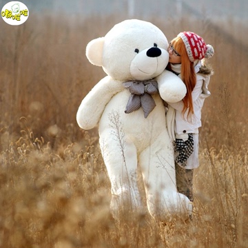 毛绒玩具泰迪熊抱抱熊娃娃公仔大号公仔1.6米纯白色生日礼物包邮