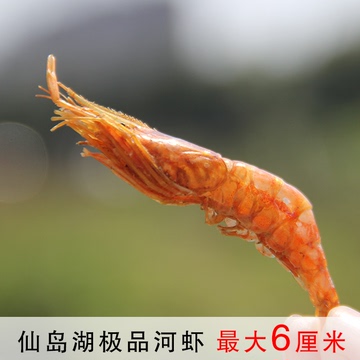 老排市 仙岛湖野生小干河虾青虾  有肉河虾  超大4厘米不好吃包退