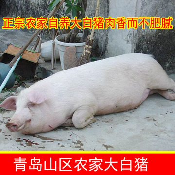 青岛农家土猪排骨农村自养猪肉原生态新鲜猪排骨土猪猪肉