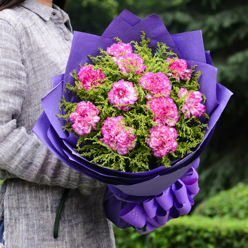 维纳斯妇女节北京鲜花速递11枝康乃馨花束送女友送妈妈送长辈生日