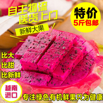 【随仙缘】越南红心火龙果 红肉新鲜进口水果 红龙大果5斤包邮