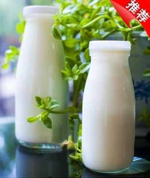 批发250ml、500ml 玻璃酸奶瓶 鲜奶瓶牛奶瓶  饮料瓶 送盖子