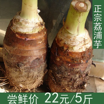 2015年新鲜 正宗荔浦芋头 广西特产毛芋香芋 槟郎芋 5斤装包邮