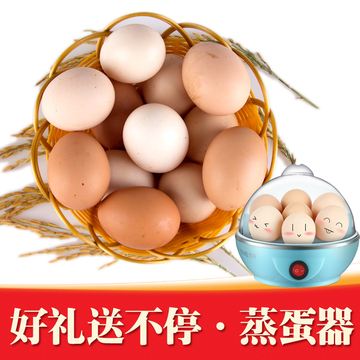 多功能煮蛋器 自动断电 迷你蒸蛋器 买鸡蛋送蒸蛋器