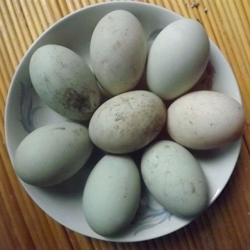 农家新鲜生鸭蛋 农村放养可降血压 无腥味孕妇孩子必备土鸭蛋20个