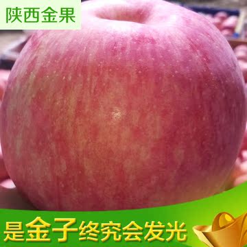 陕西金果新鲜水果苹果10斤装85mm 孕妇水果 精挑细选新鲜苹果