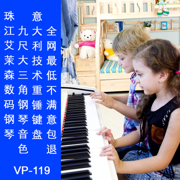珠江艾茉森数码电钢琴|杭州总代理|VP119|AP210|88键带重锤键盘