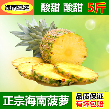 新鲜水果 海南特产菠萝胜台湾凤梨 海南菠萝 去味菠萝 5斤装包邮