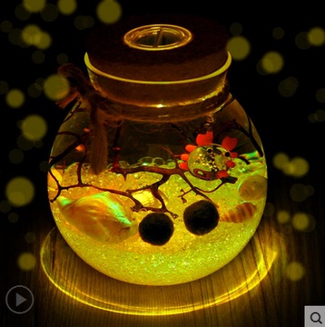 发光生态球藻玻璃瓶苔藓微景观神奇创意礼品 生日礼物