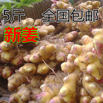 江西农家自种新鲜生姜 小土姜仔 月子姜 嫩姜原始点有机小黄姜