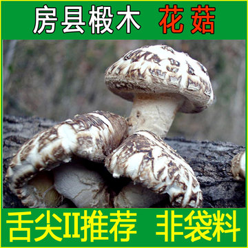 舌尖上房县野生小花菇特级神农架香菇冬菇蘑菇农家干货特产250克