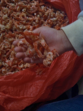 南澳天然海味 特级优质野生海虾干 虾米 手工去壳虾仁 海鲜干货特