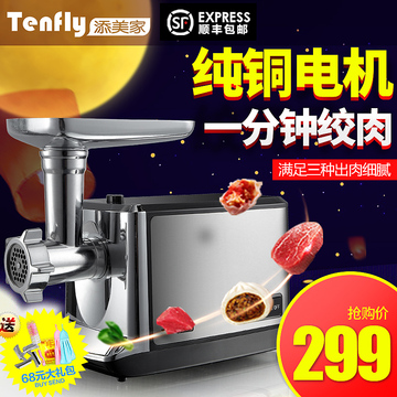Tenfly GF家用电动绞肉机灌肠机 多功能碎肉机搅肉机肉馅机绞馅机