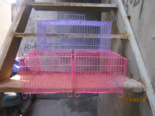 活体鸟鸟鸟运输笼笼子鸟笼鹦鹉笼确保小鸟安全金属特价