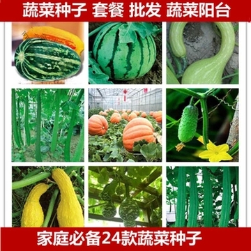 蔬菜种子盆栽种子四季播黄瓜种子南瓜苦瓜香瓜丝瓜一年生免运费