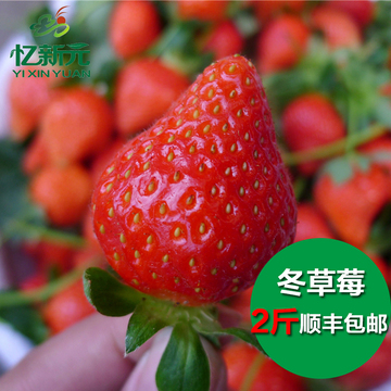 【忆新元】新鲜水果四川特产 攀枝花 冬草莓 个大 甜 丰顺包邮