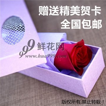 一朵一支红粉白香槟玫瑰单只鲜花速递礼盒全国包邮1朵红玫瑰鲜花