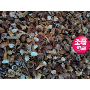 长白山松茸菇（500g）