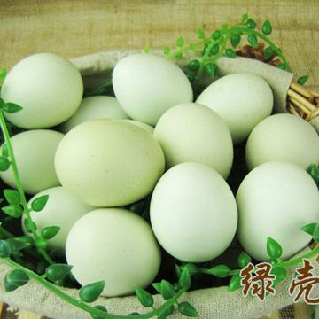 湘西长寿之乡农家绿壳土鸡蛋