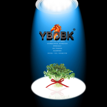 【YBOBK】专业宝贝产品拍照专职摄影师品质拍摄专业摄影57