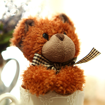 哥伦比亚咖啡熊coffee bear泰迪小熊玩偶 健康熊蜘蛛侠毛绒玩具仔