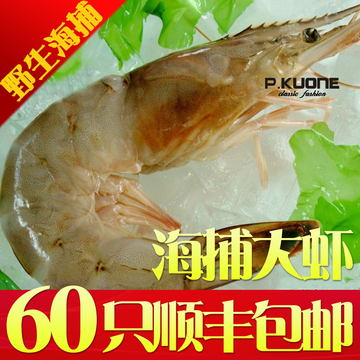 青岛野生海虾 活虾新鲜海捕大虾 海虾新鲜 对虾 海虾鲜活 鲜海虾