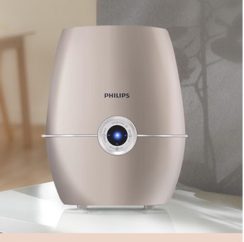 飞利浦（Philips） HU4902/00 空气加湿器（牡蛎金属色）